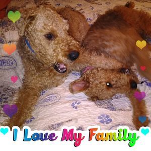 Meet your Posher, Joyce